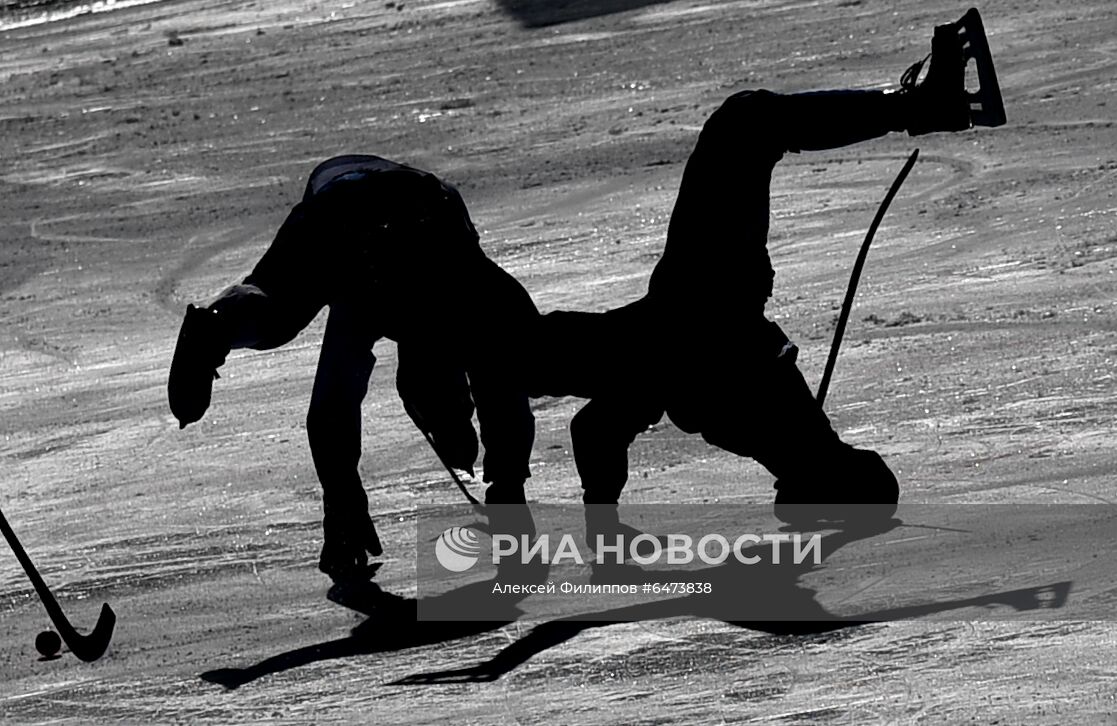 Бэнди. Чемпионат России. "Динамо" Москва – "Ак Барс-Динамо" Казань 