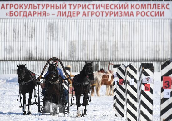 Фестиваль русской тройки "Владимирский тракт - 2021"