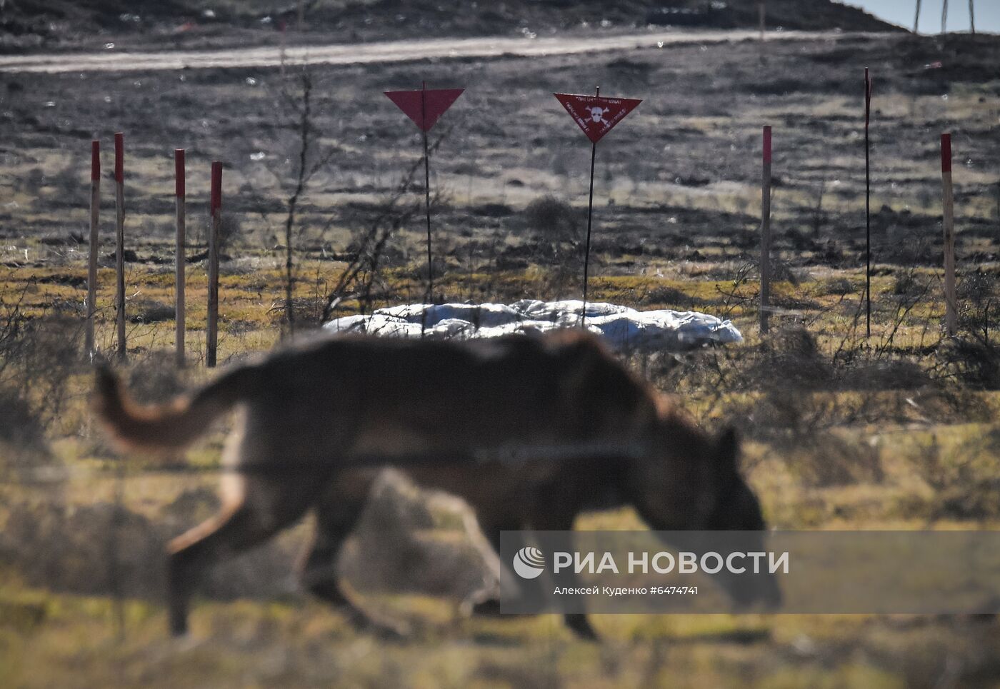 Строительство инфраструктурных объектов и разминирование территорий в Физулинском районе Азербайджана