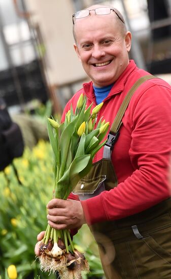 Выращивание цветов к Международному женскому дню 
