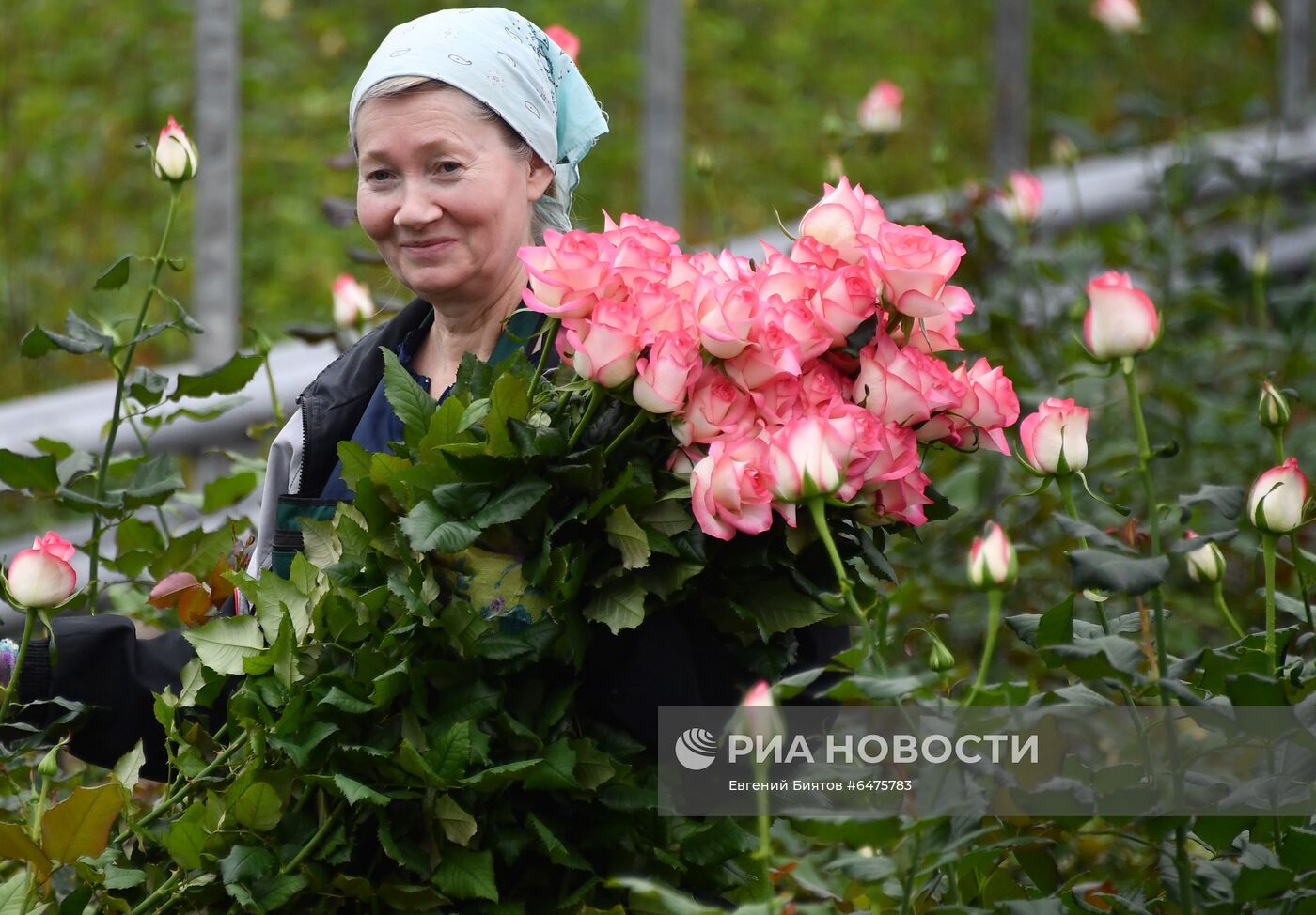 Выращивание цветов к Международному женскому дню 