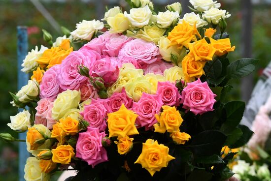 Выращивание цветов к Международному женскому дню 