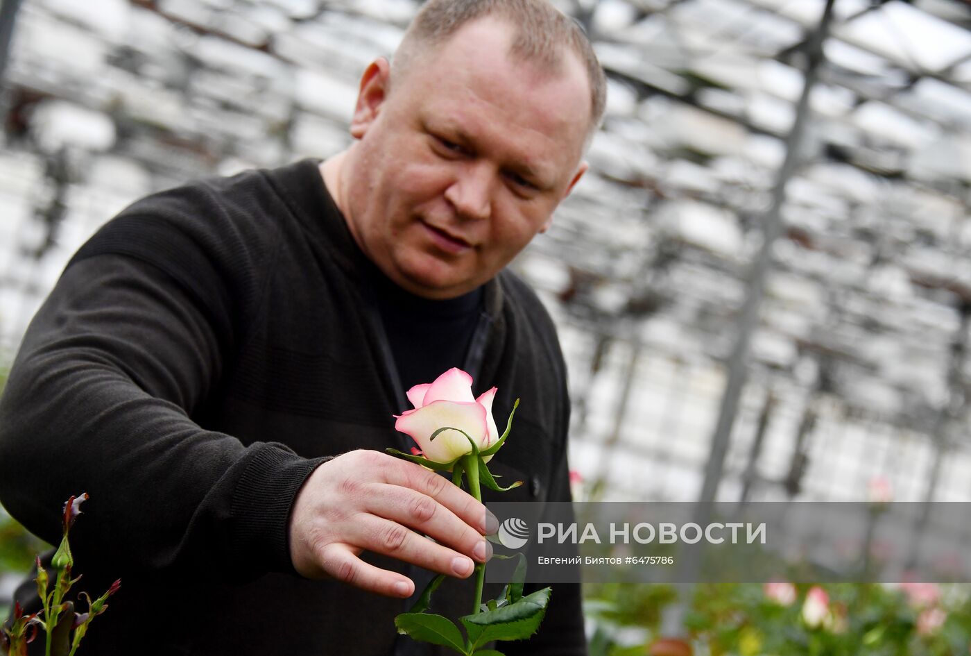 Выращивание цветов к Международному женскому дню 