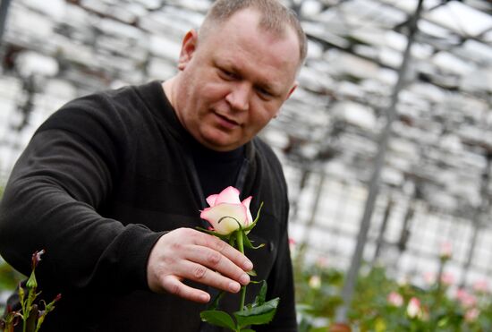 Выращивание цветов к Международному женскому дню 