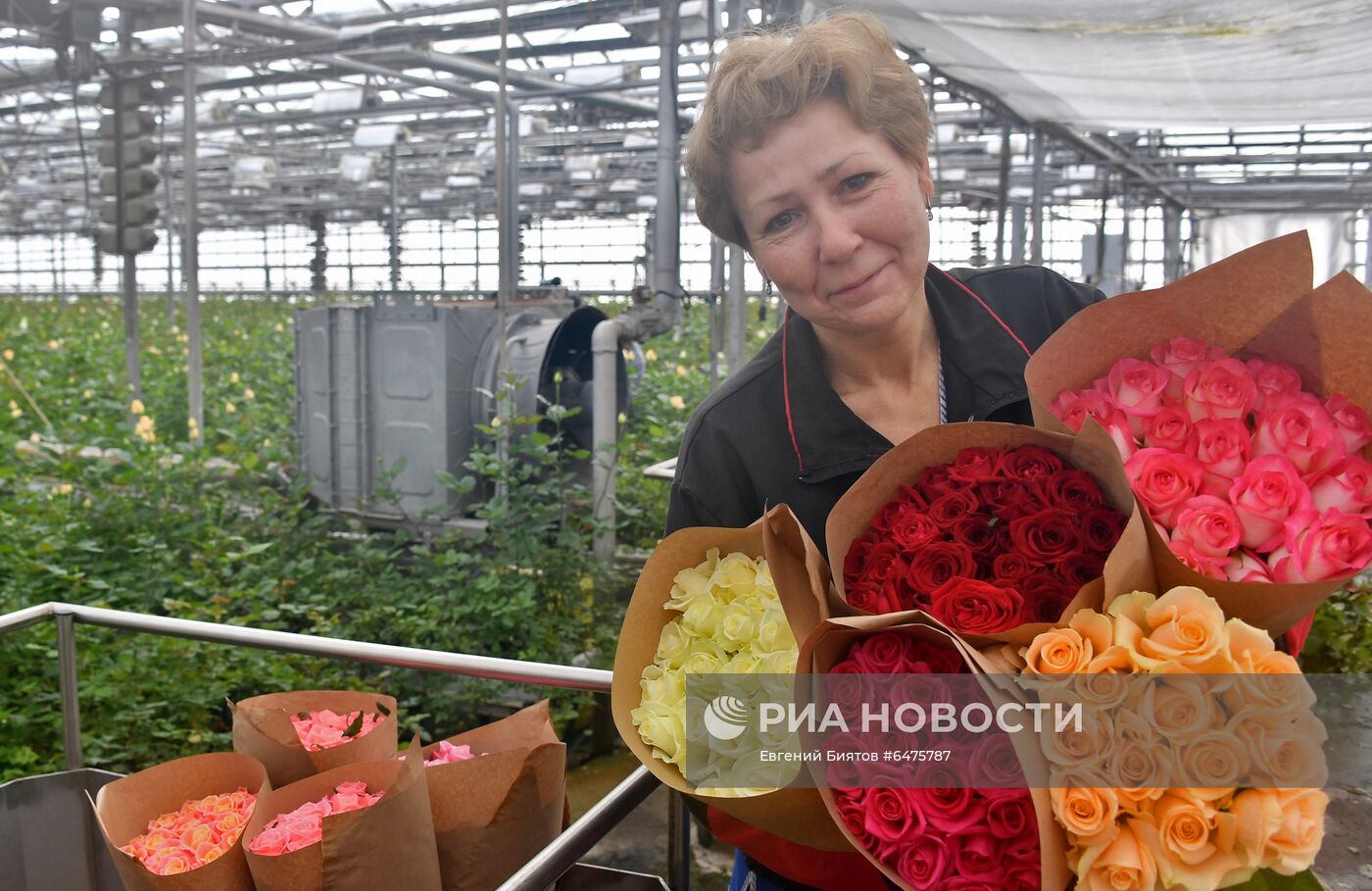 Выращивание цветов к Международному женскому дню