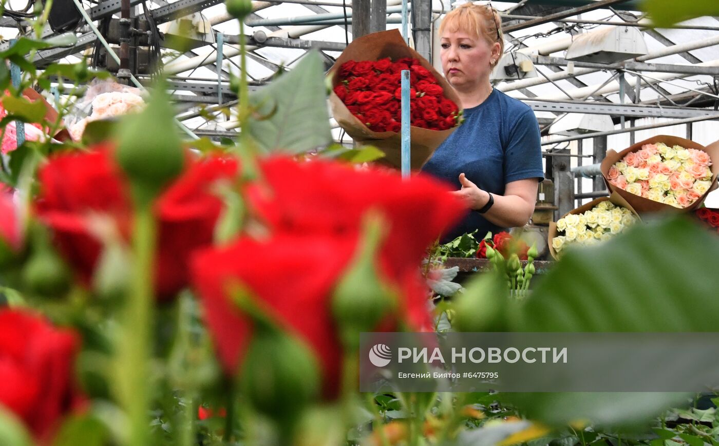 Выращивание цветов к Международному женскому дню
