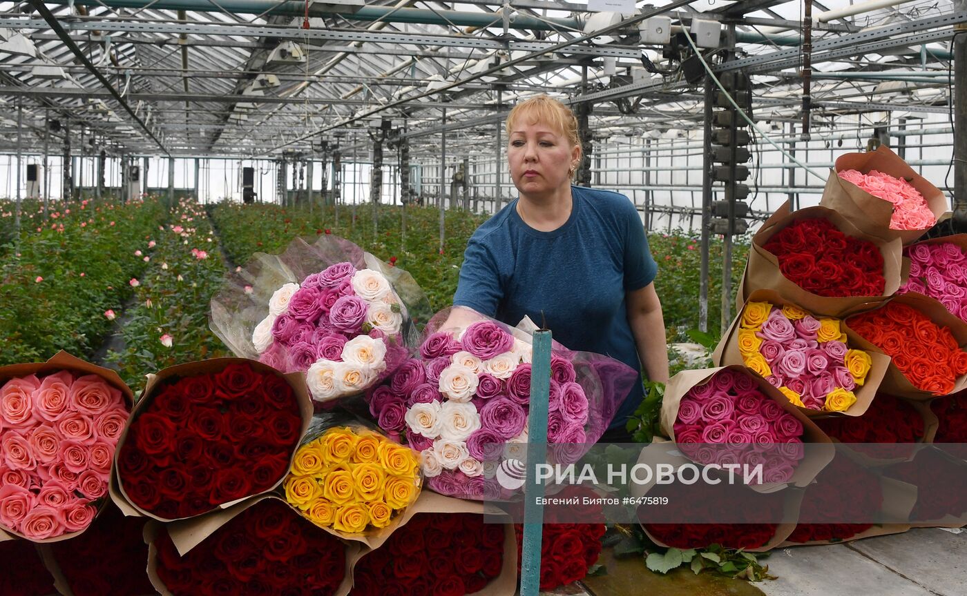 Выращивание цветов к Международному женскому дню