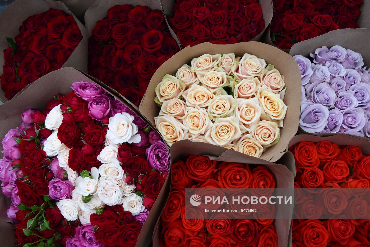 Выращивание цветов к Международному женскому дню
