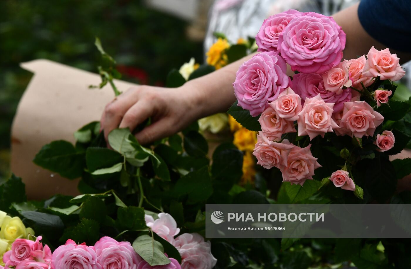 Выращивание цветов к Международному женскому дню 