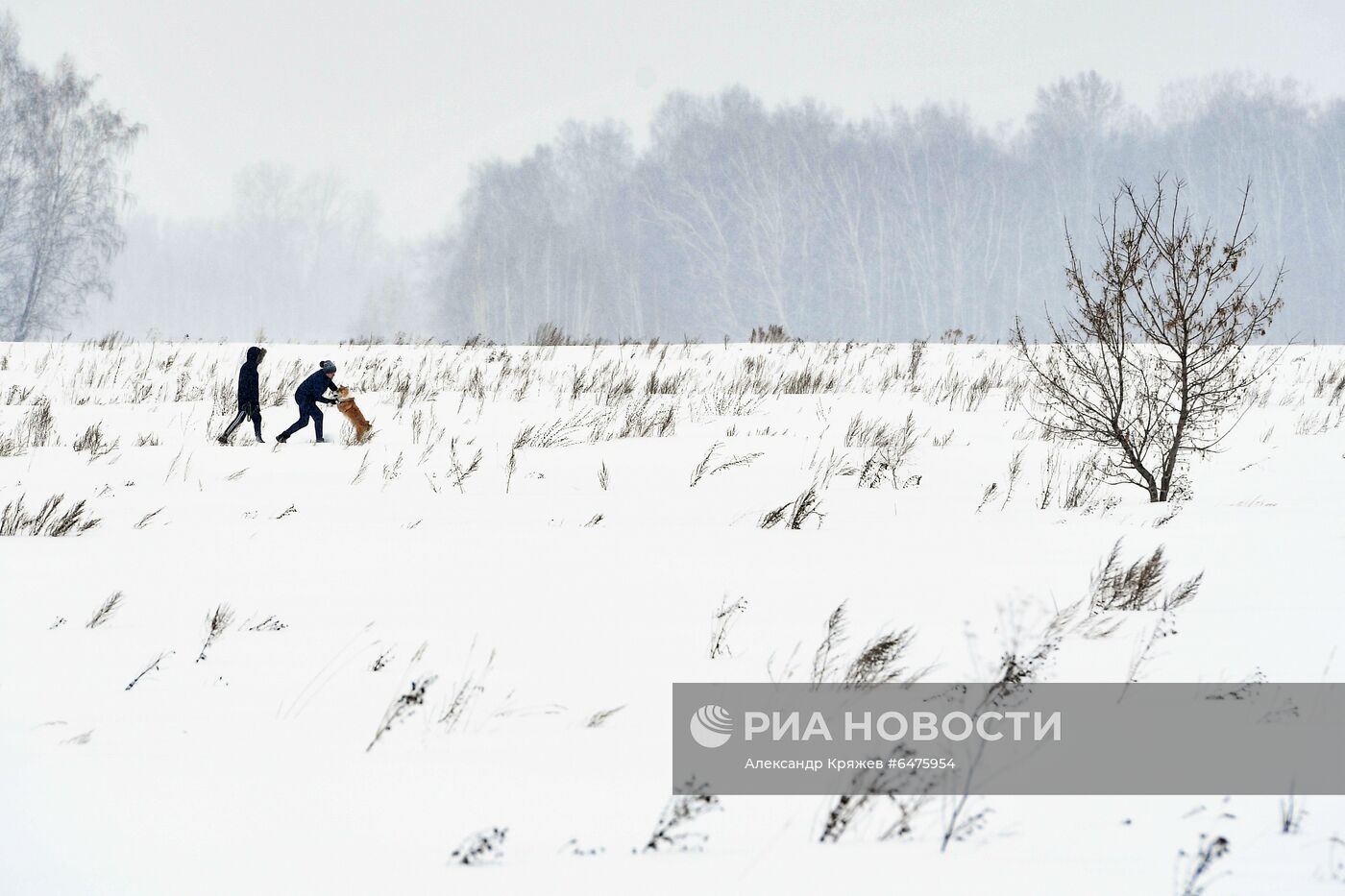 Снегопад в Новосибирске