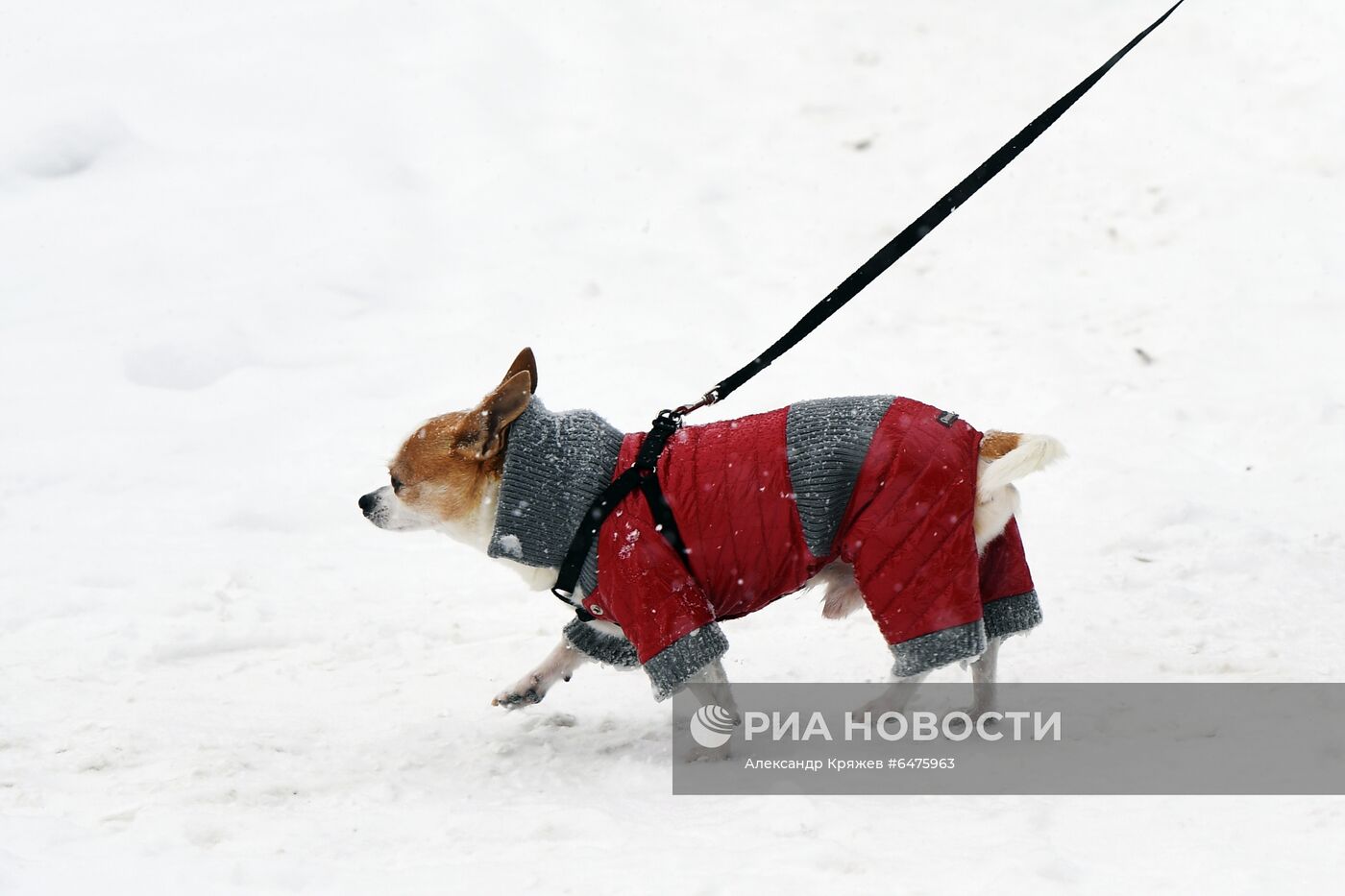 Снегопад в Новосибирске