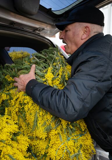 Торговля цветами у границы с Абхазией