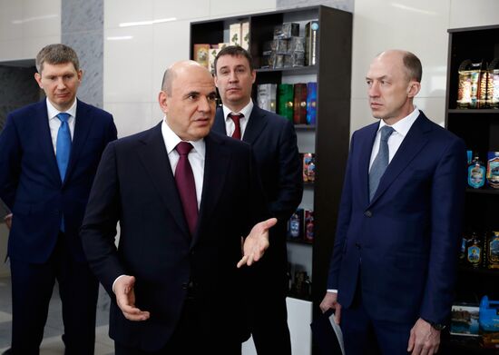 Рабочая поездка премьер-министра РФ М. Мишустина в Cибирский федеральный округ. День второй