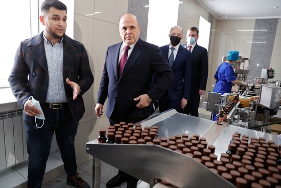 Рабочая поездка премьер-министра РФ М. Мишустина в Cибирский федеральный округ. День второй