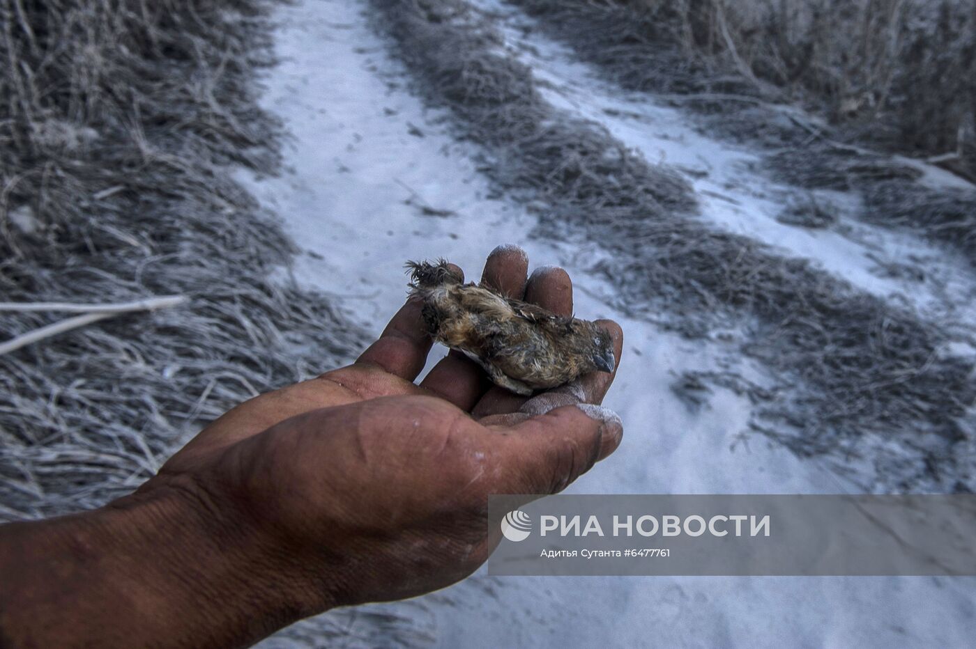 Извержение вулкана Синабунг в Индонезии