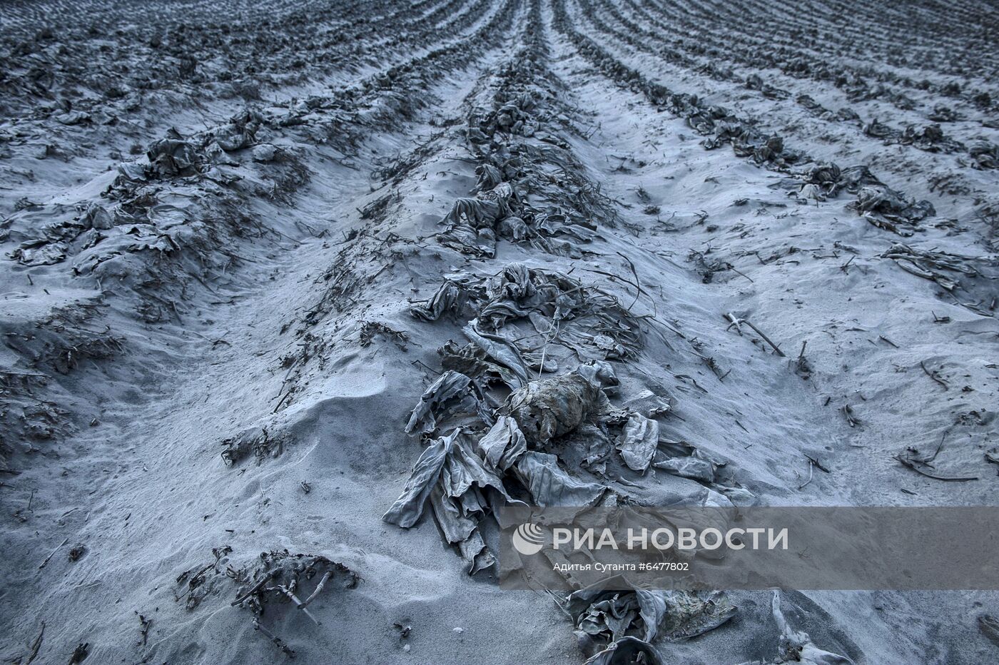 Извержение вулкана Синабунг в Индонезии