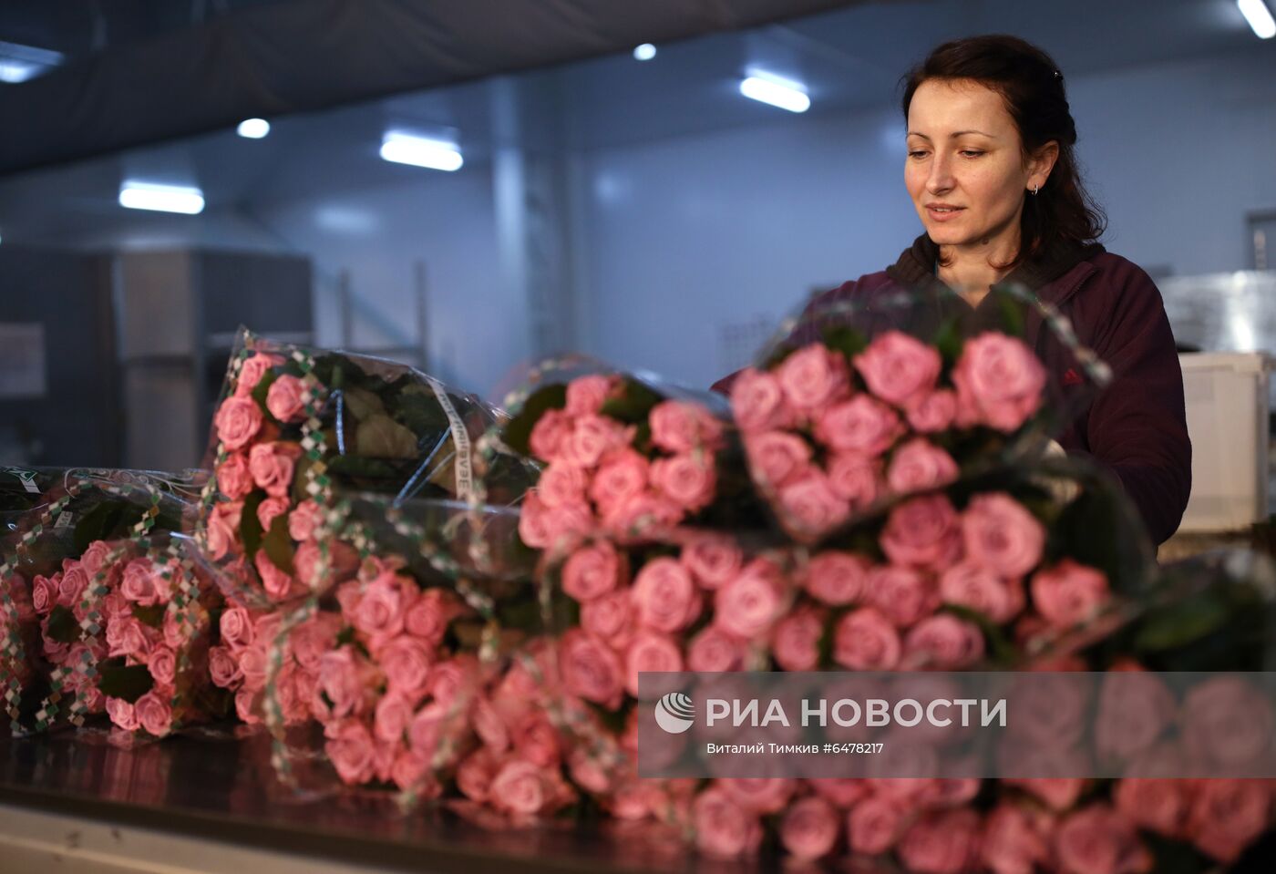 Выращивание роз в тепличном хозяйстве в Адыгее