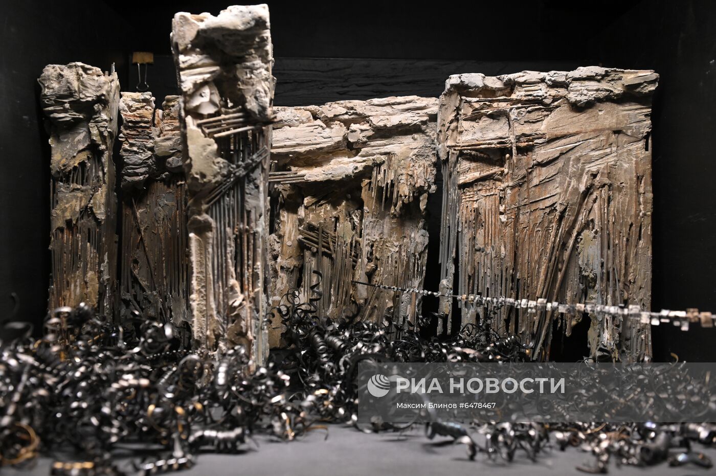 Выставка "Шейнцис. Эссе в четырех картинах"