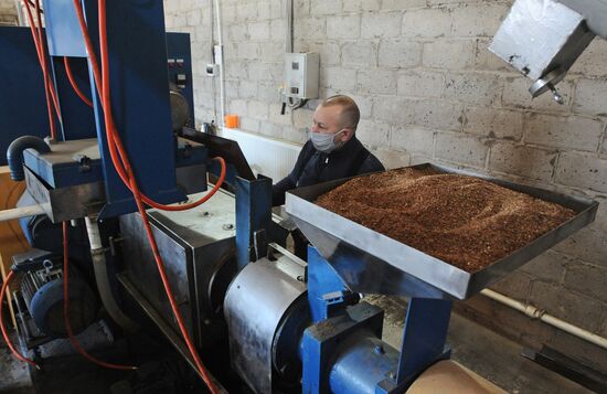 Производство льняного масла на предприятии "Экопродукт"