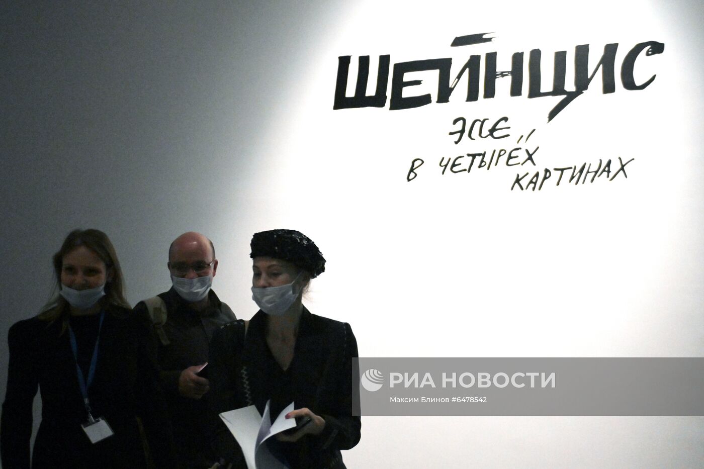 Выставка "Шейнцис. Эссе в четырех картинах"