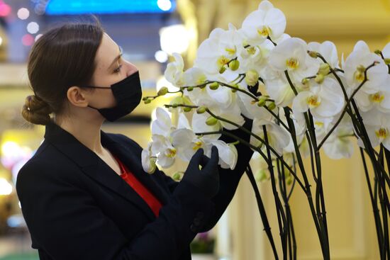 Москва накануне Международного женского дня