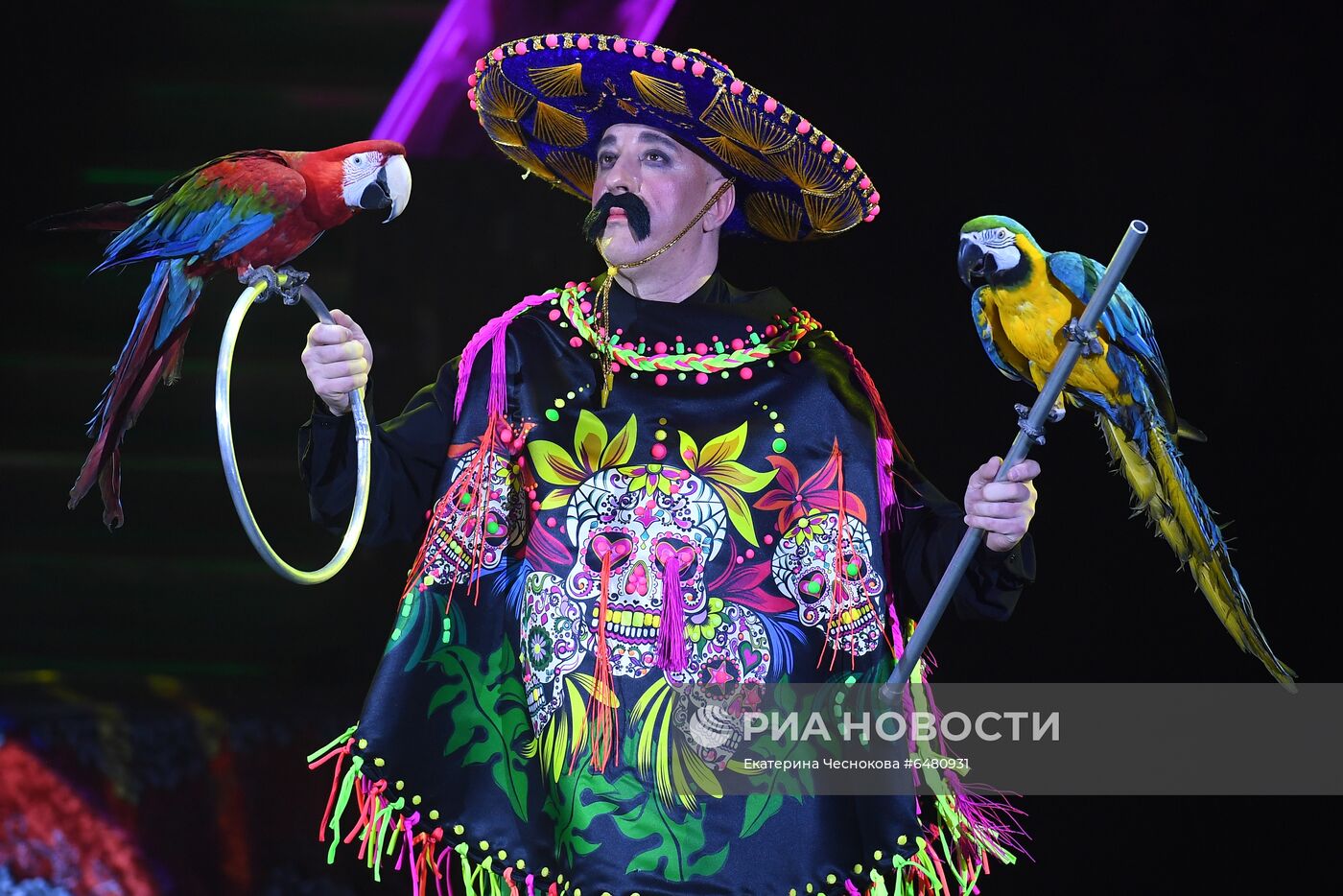 Премьера программы "Все будет хорошо!" в цирке Никулина на Цветном бульваре