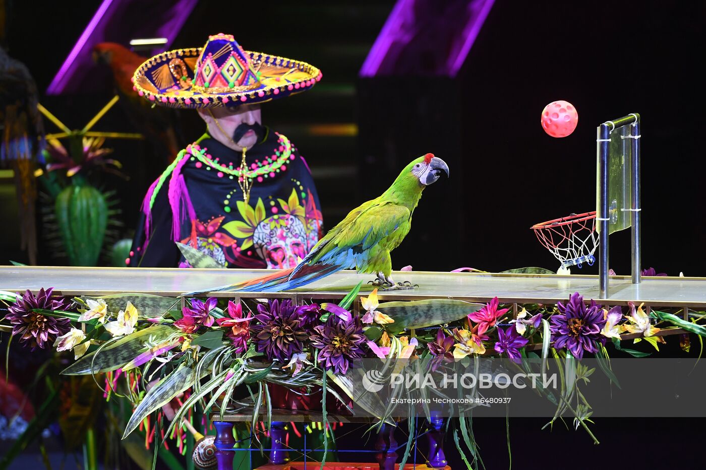 Премьера программы "Все будет хорошо!" в цирке Никулина на Цветном бульваре