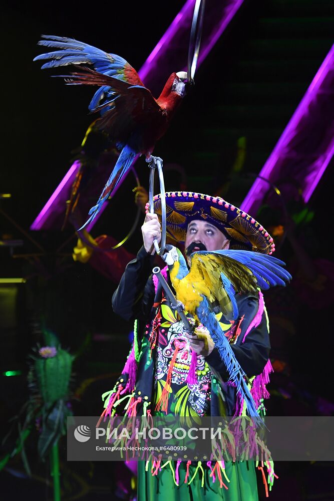 Премьера программы "Все будет хорошо!" в цирке Никулина на Цветном бульваре