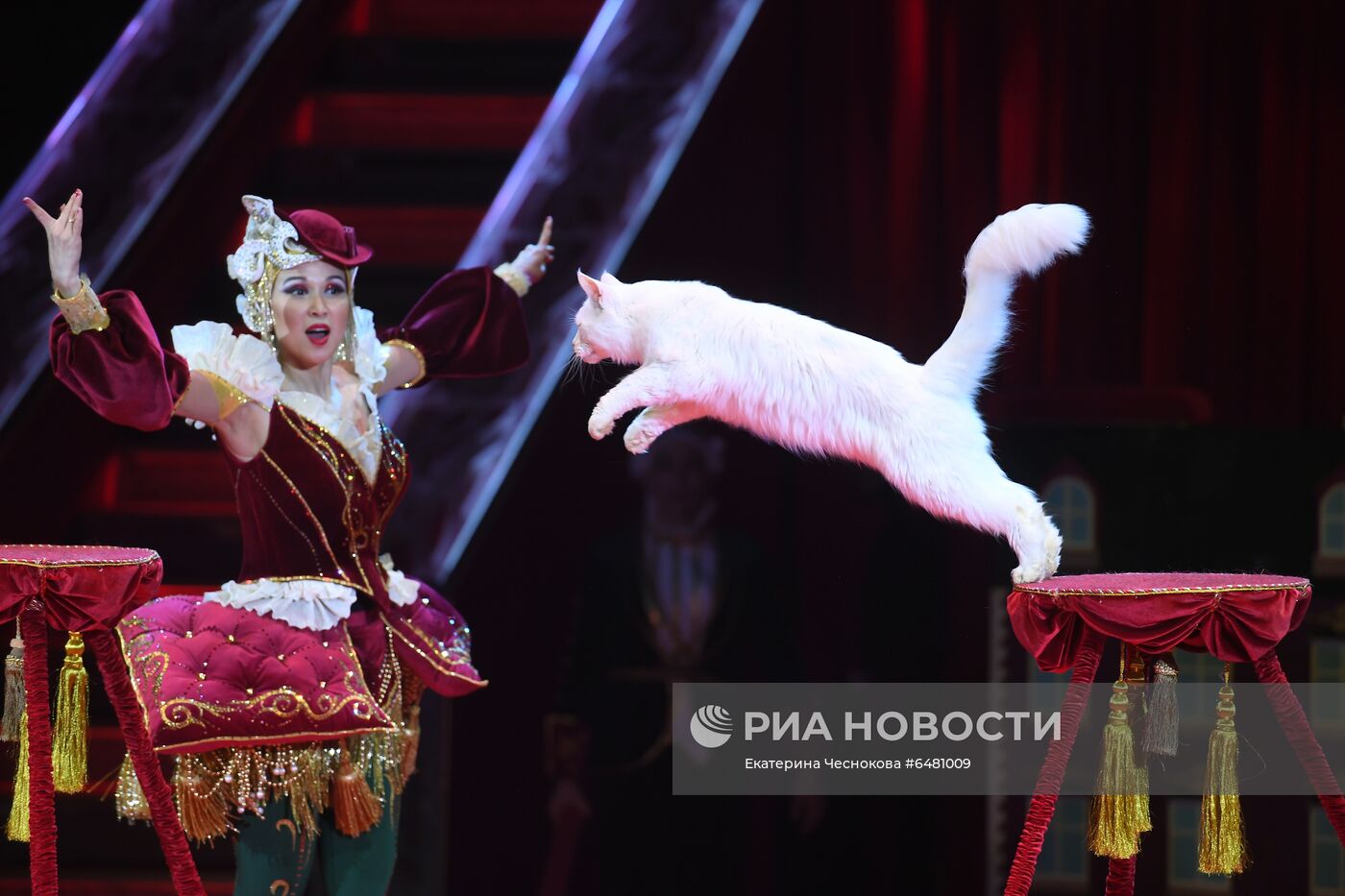 Премьера программы "Все будет хорошо!" в цирке Никулина на Цветном бульваре