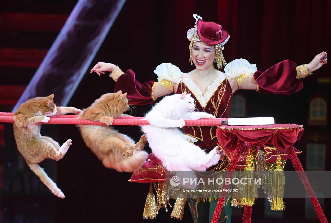 Премьера программы "Все будет хорошо!" в цирке Никулина на Цветном бульваре