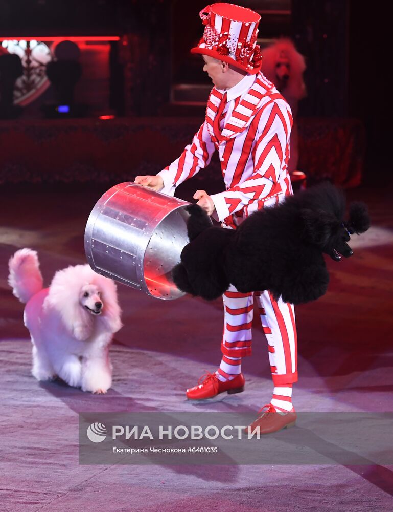 Премьера программы "Все будет хорошо!" в цирке Никулина на Цветном бульваре
