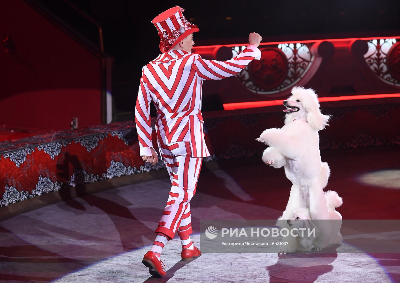 Премьера программы "Все будет хорошо!" в цирке Никулина на Цветном бульваре