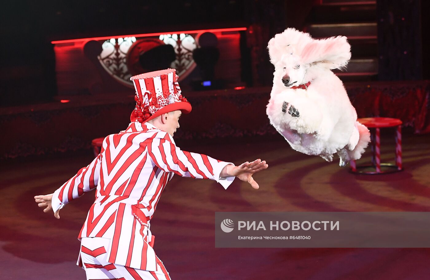 Премьера программы "Все будет хорошо!" в цирке Никулина на Цветном бульваре