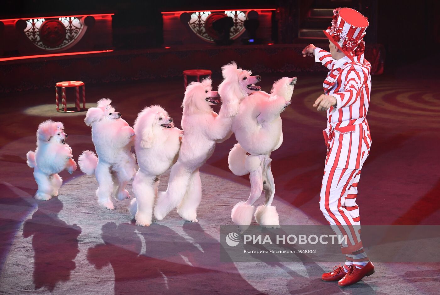 Премьера программы "Все будет хорошо!" в цирке Никулина на Цветном бульваре