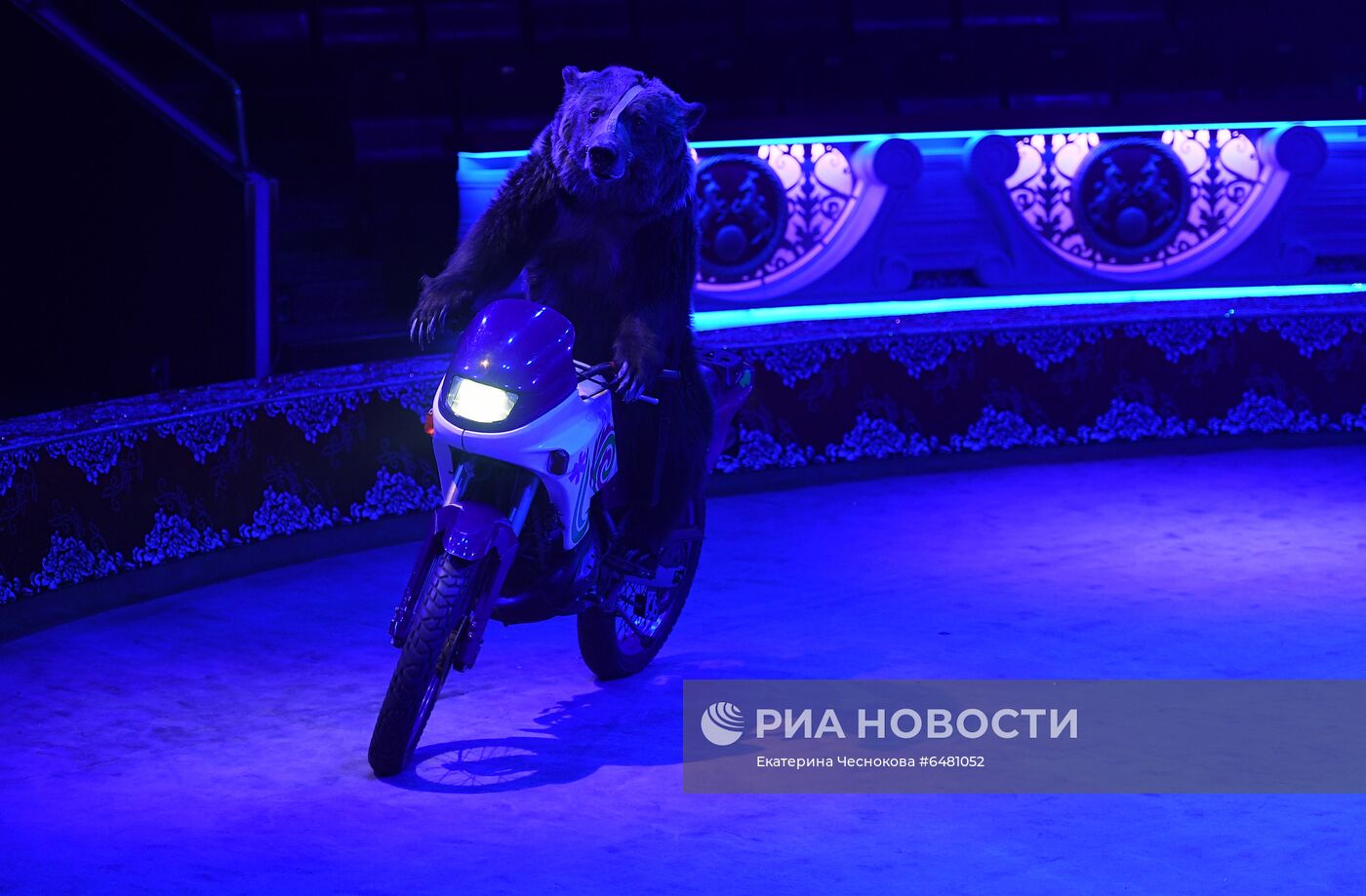 Премьера программы "Все будет хорошо!" в цирке Никулина на Цветном бульваре