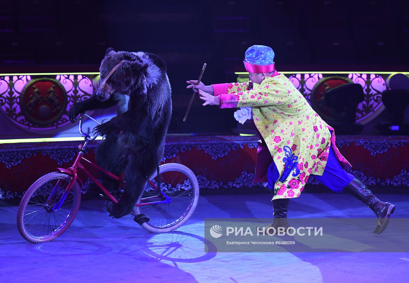 Премьера программы "Все будет хорошо!" в цирке Никулина на Цветном бульваре