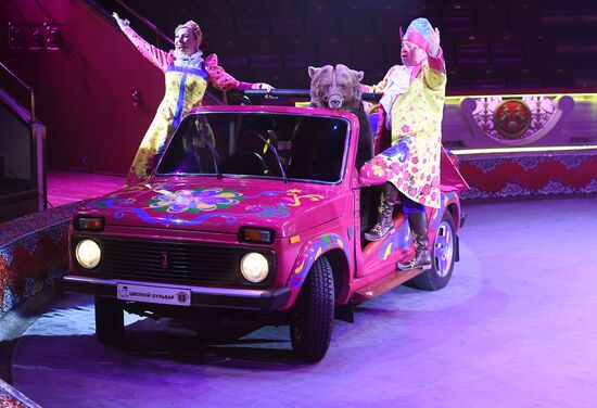 Премьера программы "Все будет хорошо!" в цирке Никулина на Цветном бульваре