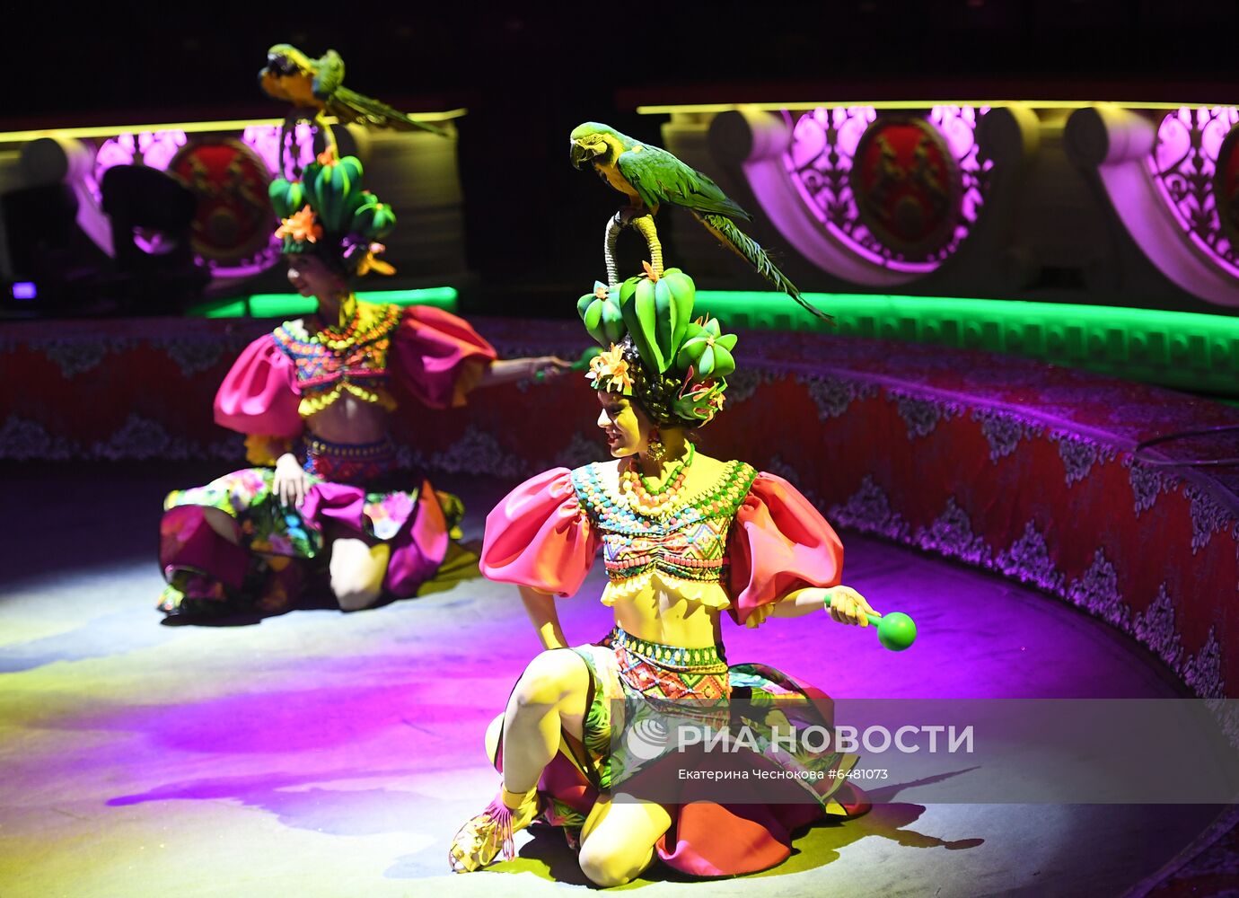 Премьера программы "Все будет хорошо!" в цирке Никулина на Цветном бульваре