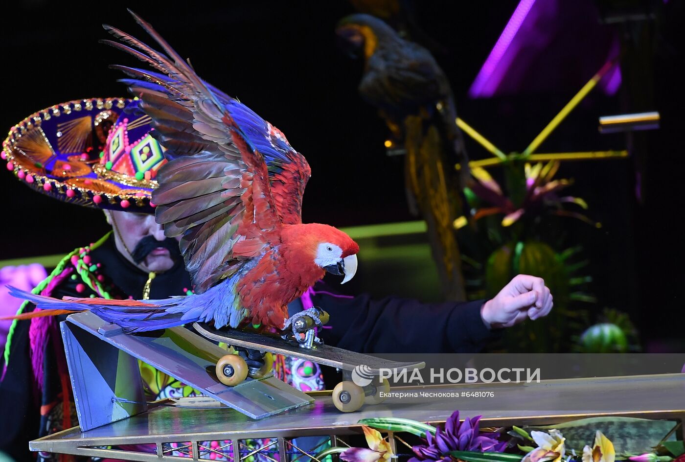 Премьера программы "Все будет хорошо!" в цирке Никулина на Цветном бульваре