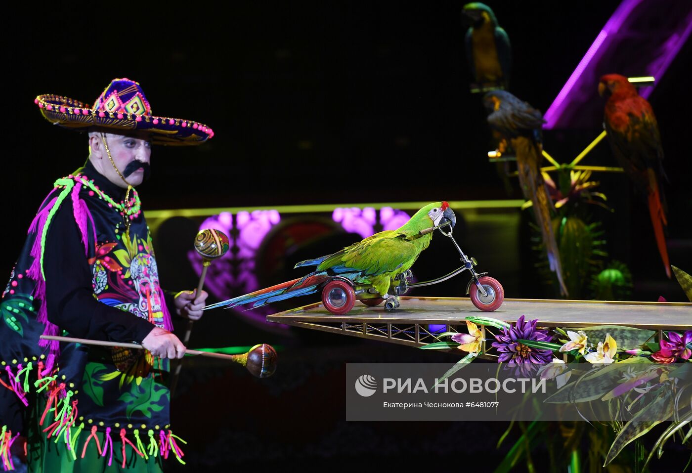 Премьера программы "Все будет хорошо!" в цирке Никулина на Цветном бульваре