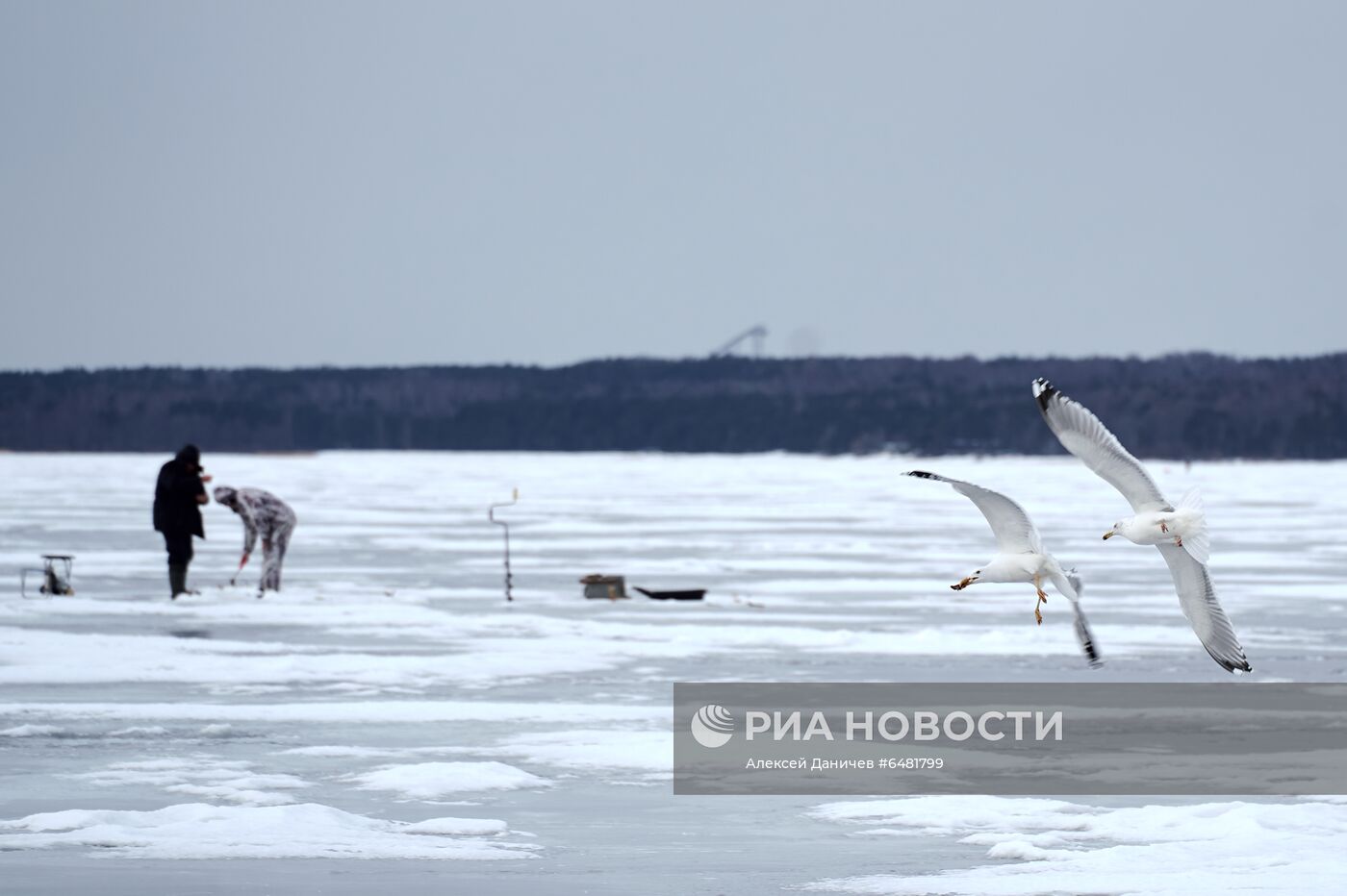 Зимняя рыбалка на Финском заливе