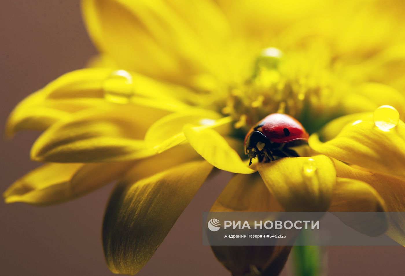 ФОТО МЕСЯЦА