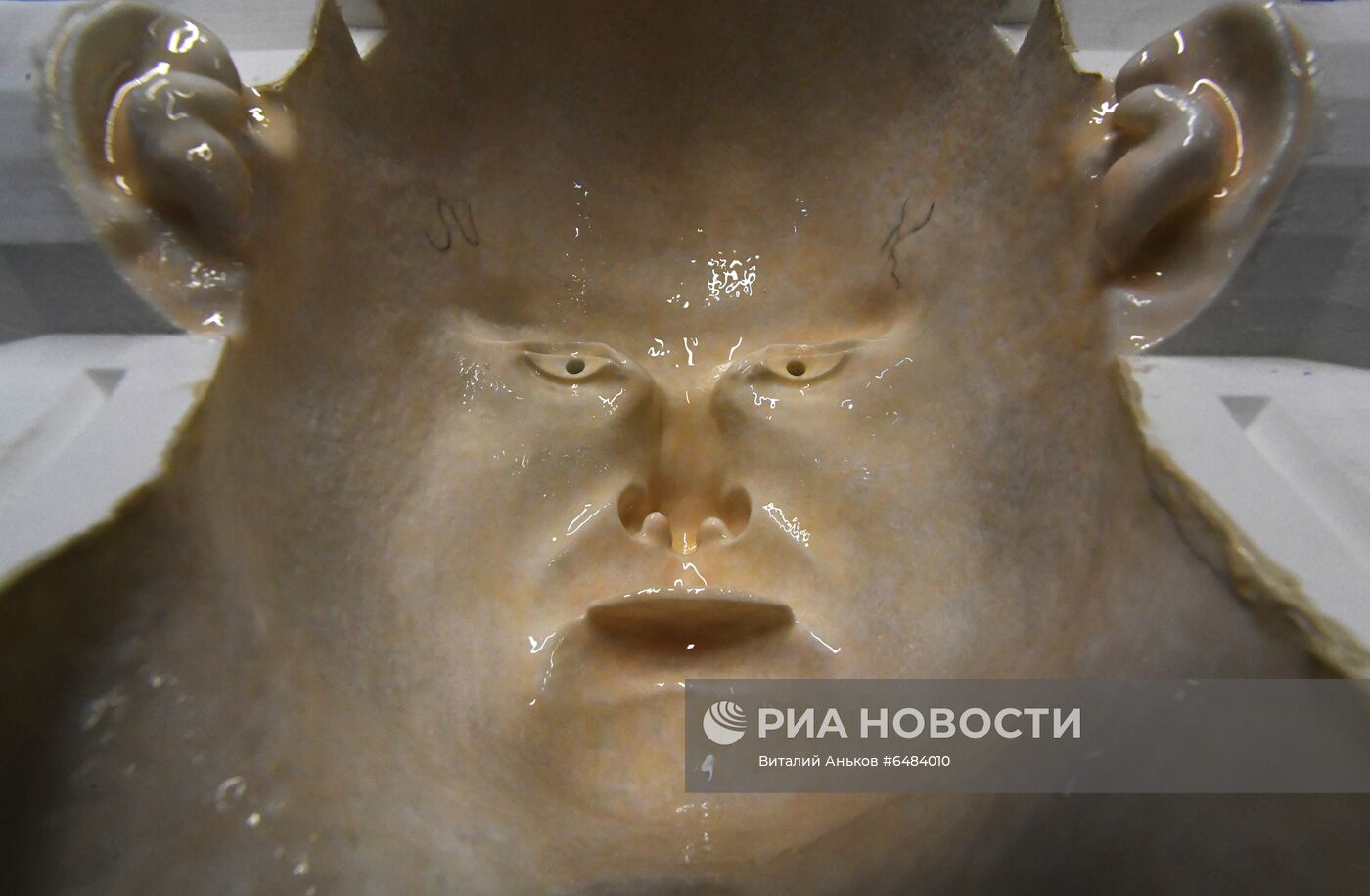 Фото недели