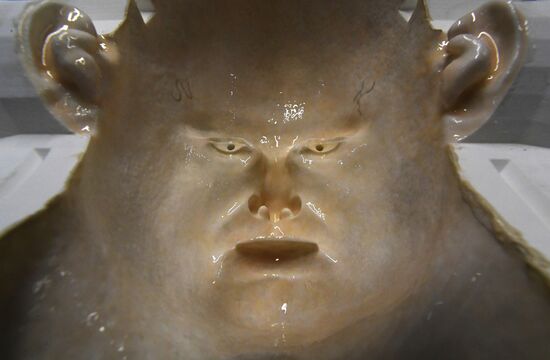 Фото недели