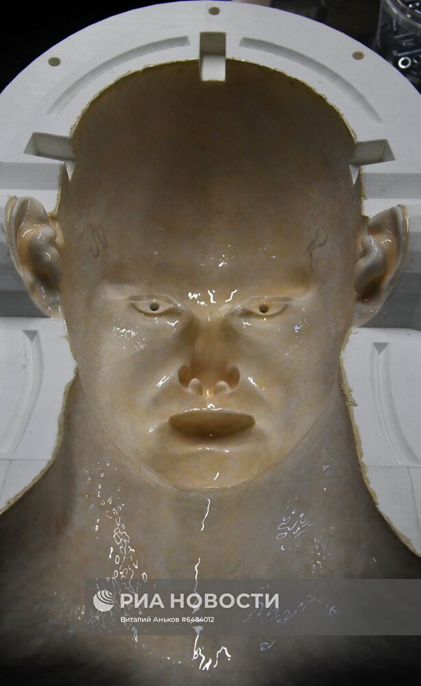 Центр моделирования человекоподобных роботов во Владивостоке