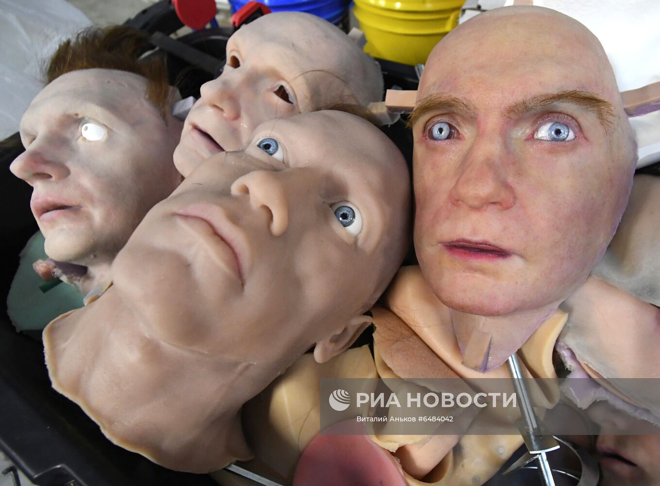 Центр моделирования человекоподобных роботов во Владивостоке