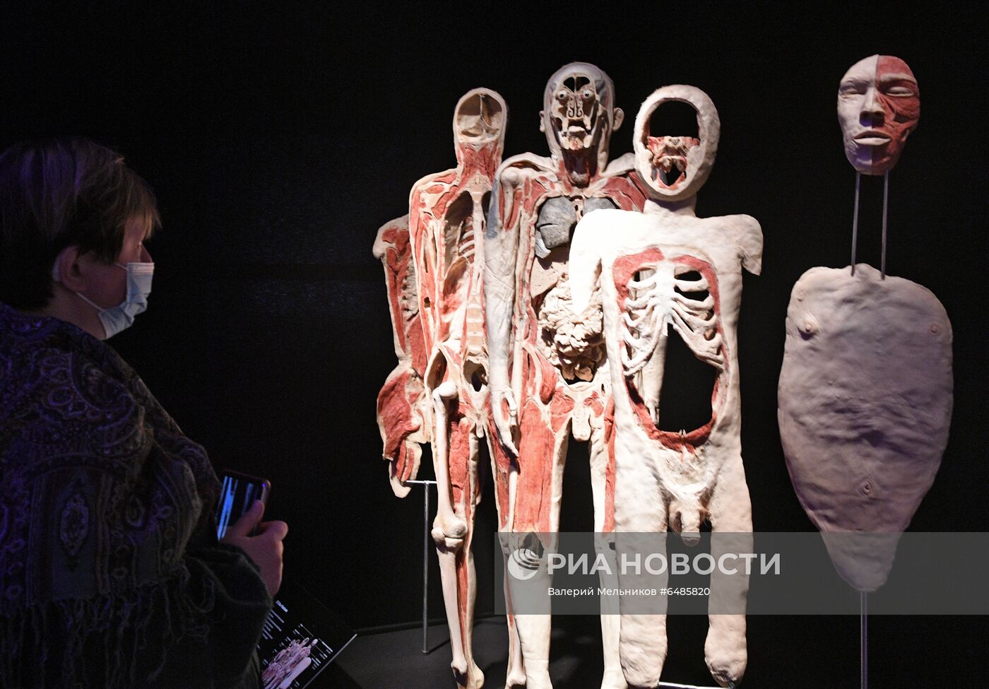 Выставка "Body Worlds. Мир тела" в Москве