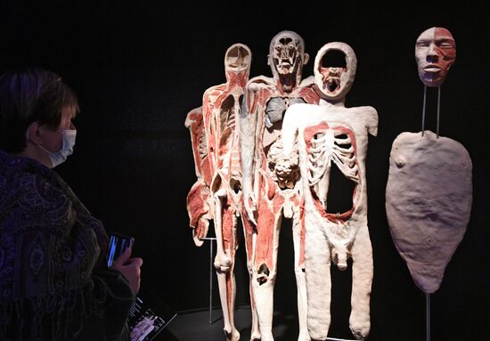 Выставка "Body Worlds. Мир тела" в Москве