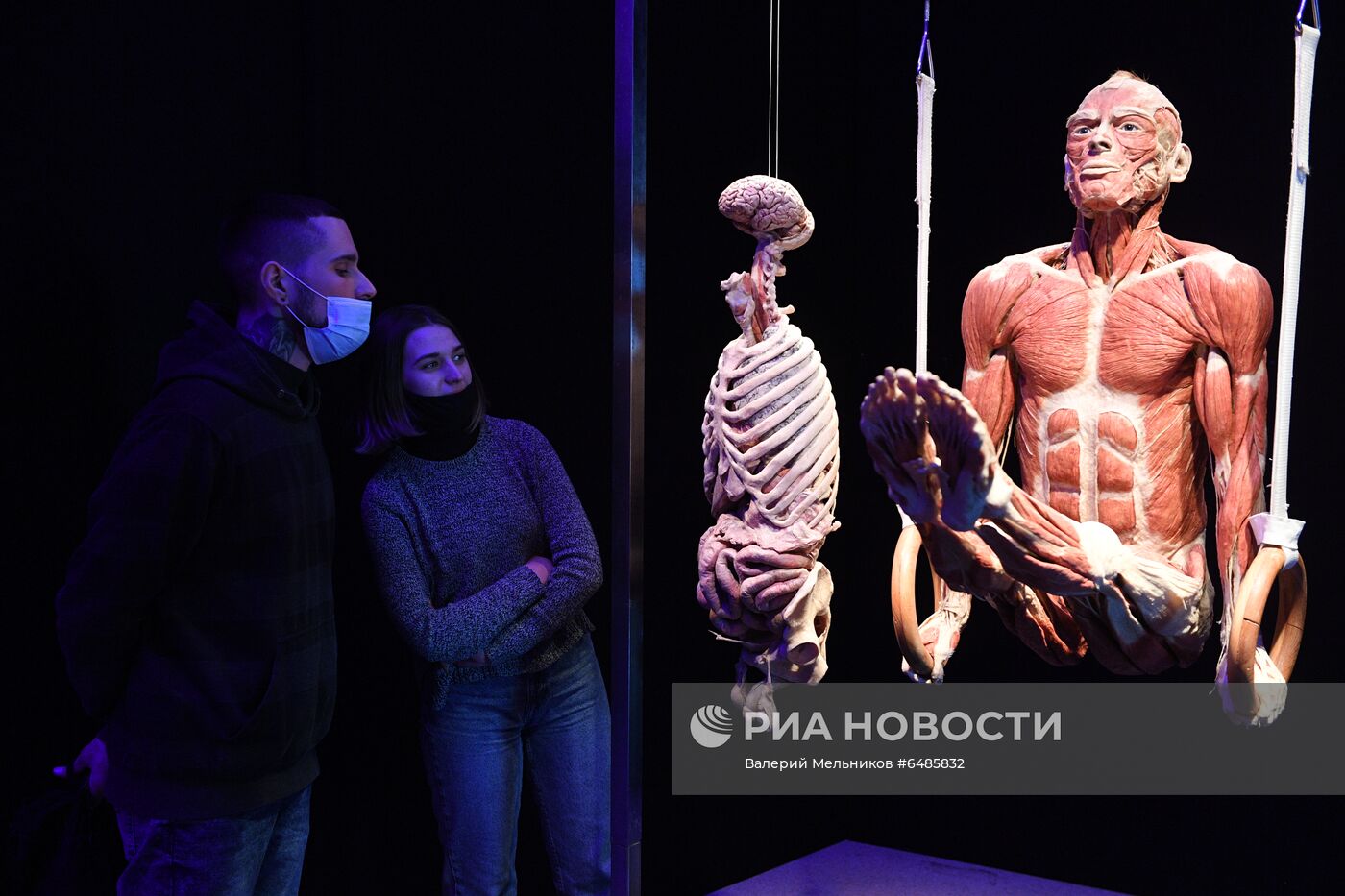 Выставка "Body Worlds. Мир тела" в Москве