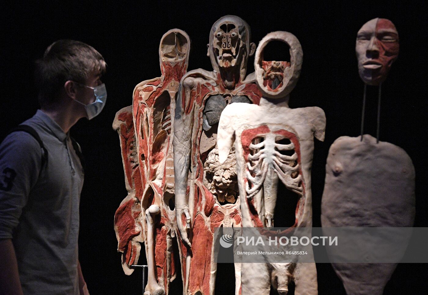 Выставка "Body Worlds. Мир тела" в Москве